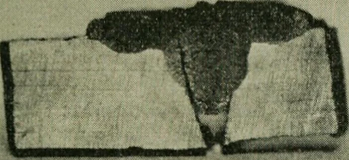An illustration from The Locomotive, 1867, leaf 282