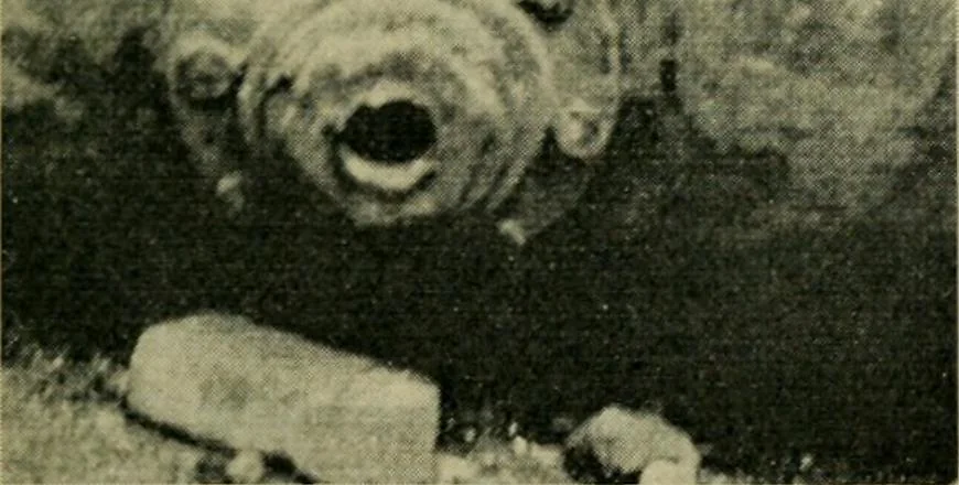 An illustration from The Locomotive, 1867, leaf 284