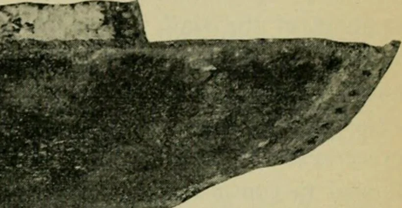 An illustration from The Locomotive, 1867, leaf 292