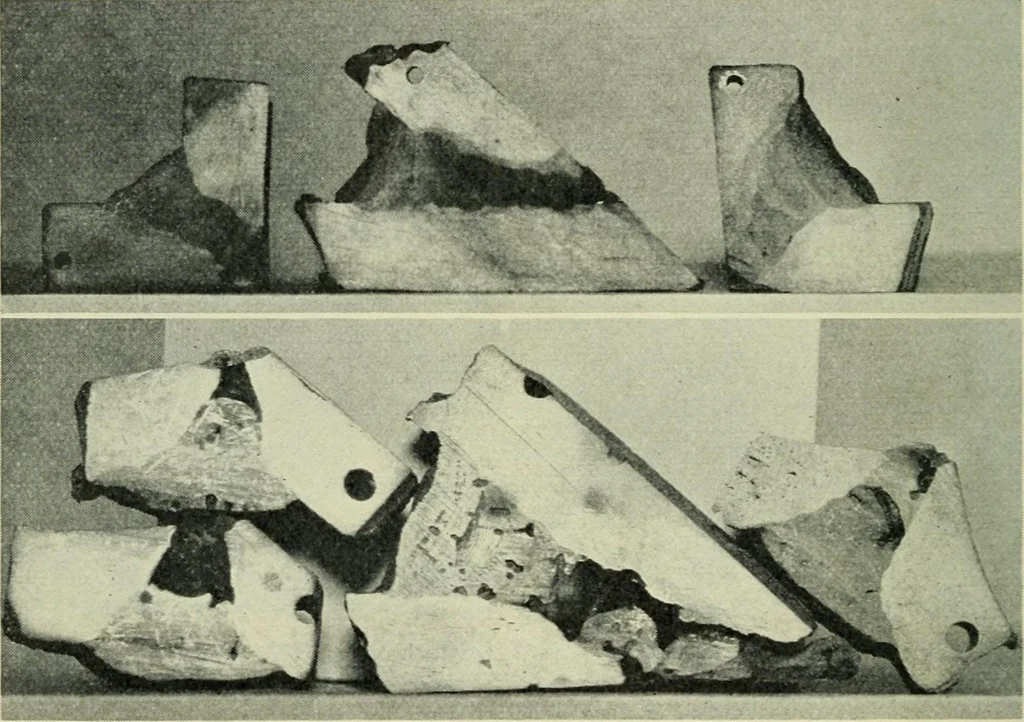 An illustration from The Locomotive, 1867, leaf 359