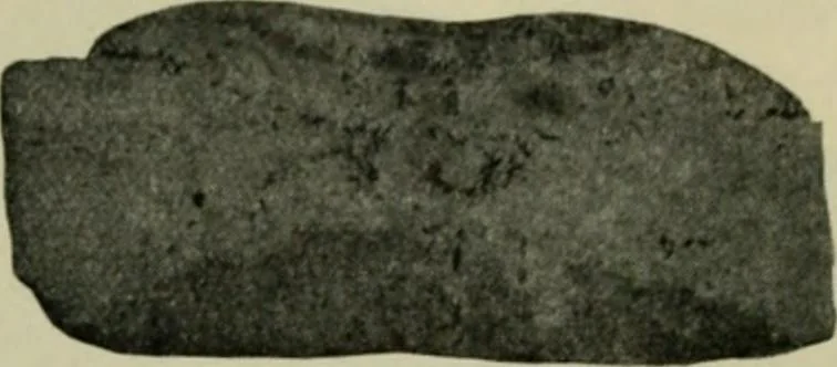 An illustration from The Locomotive, 1867, leaf 376