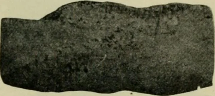 An illustration from The Locomotive, 1867, leaf 376