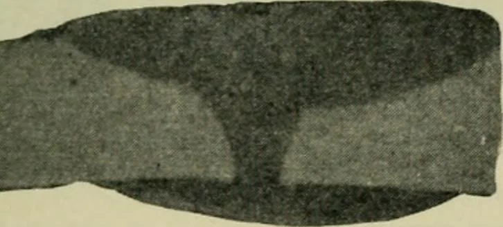 An illustration from The Locomotive, 1867, leaf 376