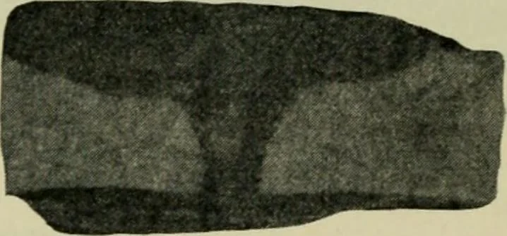 An illustration from The Locomotive, 1867, leaf 376
