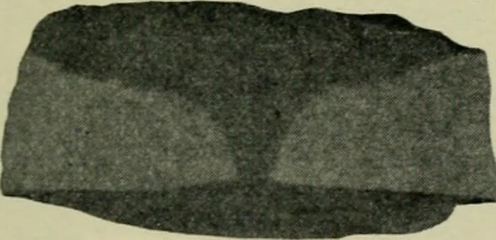 An illustration from The Locomotive, 1867, leaf 376