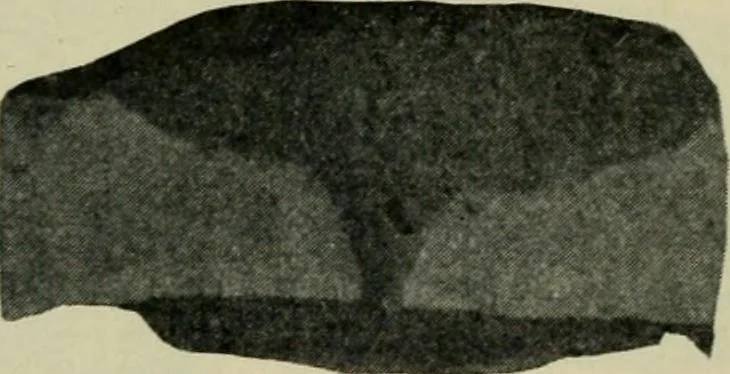 An illustration from The Locomotive, 1867, leaf 376