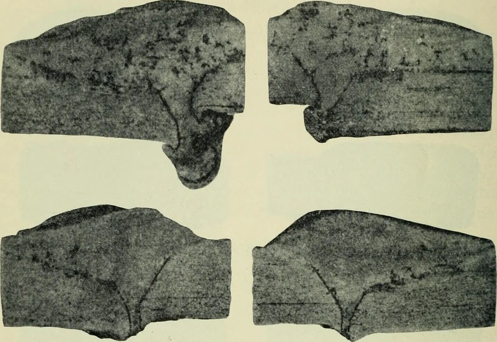 An illustration from The Locomotive, 1867, leaf 377