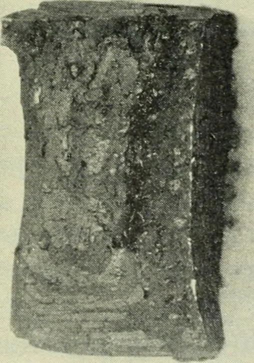 An illustration from The Locomotive, 1867, leaf 417