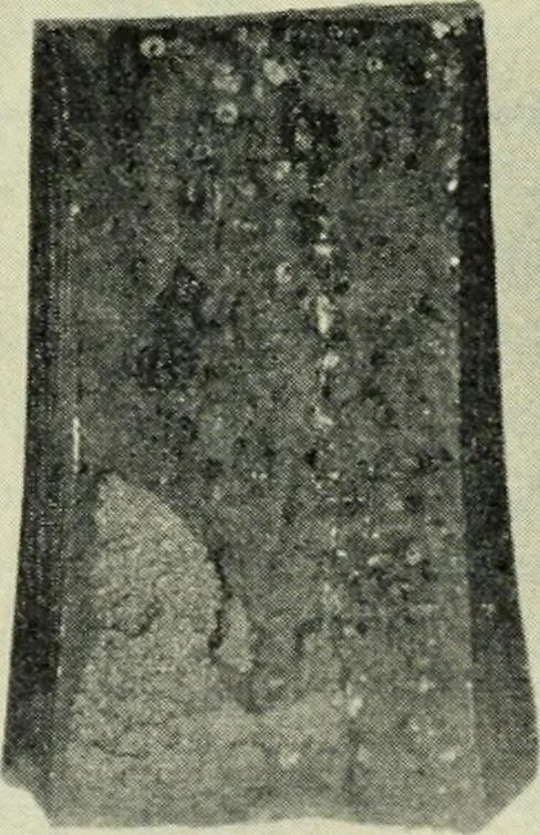 An illustration from The Locomotive, 1867, leaf 417