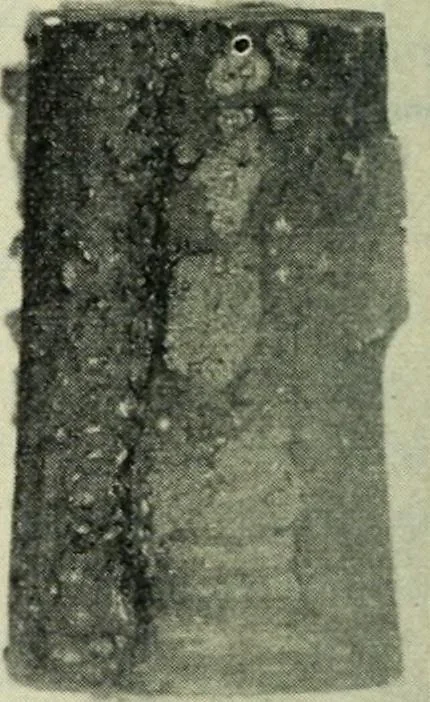 An illustration from The Locomotive, 1867, leaf 417