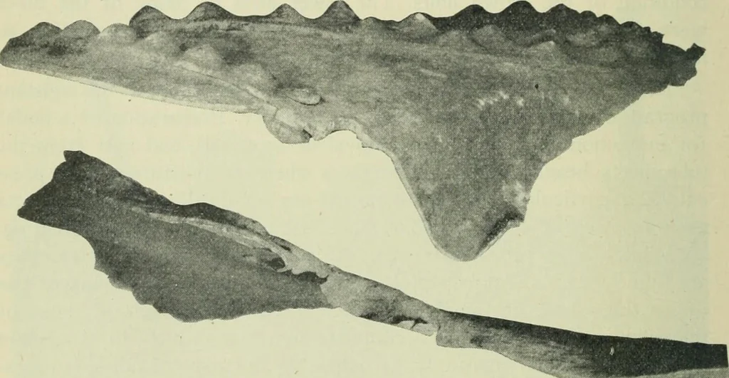 An illustration from The Locomotive, 1867, leaf 451