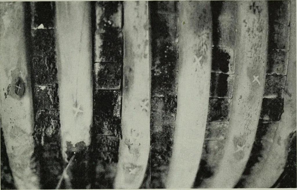 An illustration from The Locomotive, 1867, leaf 110