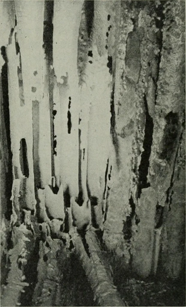 An illustration from The Locomotive, 1867, leaf 116