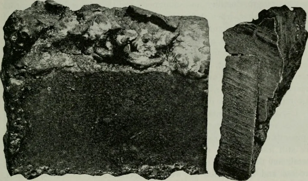 An illustration from The Locomotive, 1867, leaf 14