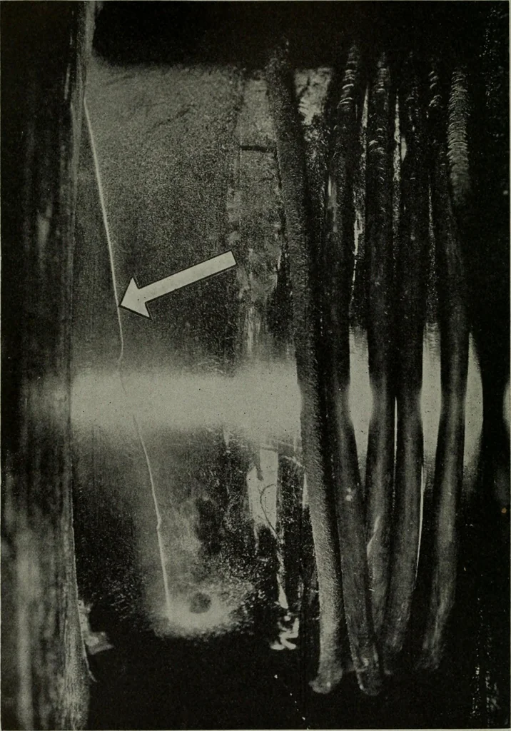 An illustration from The Locomotive, 1867, leaf 179
