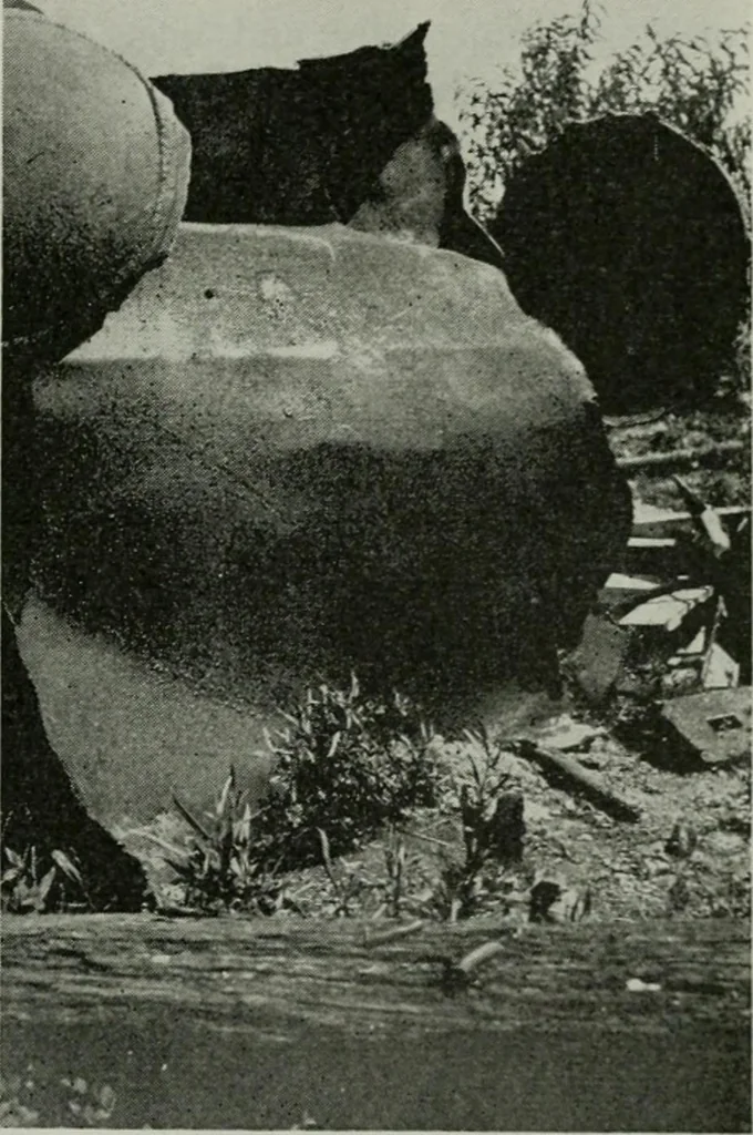 An illustration from The Locomotive, 1867, leaf 18