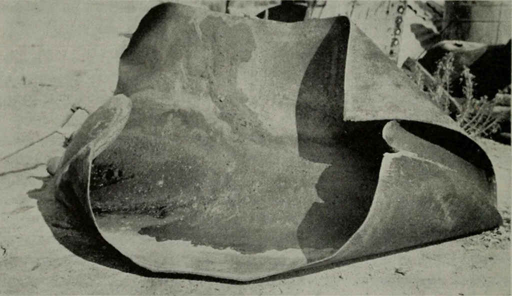 An illustration from The Locomotive, 1867, leaf 189
