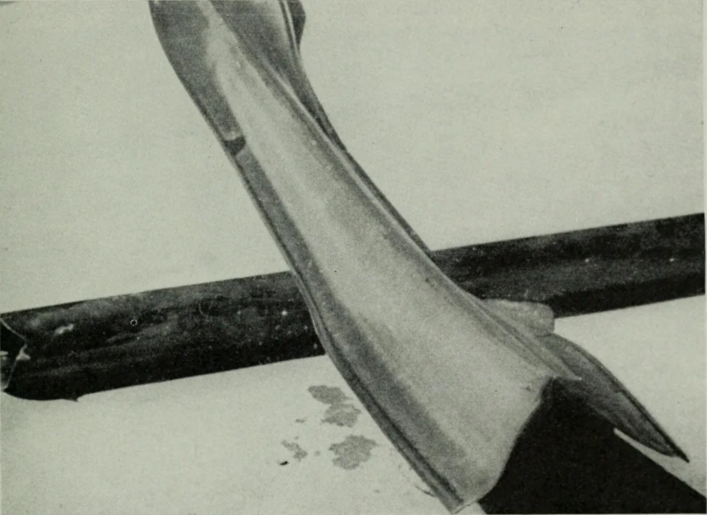 An illustration from The Locomotive, 1867, leaf 212