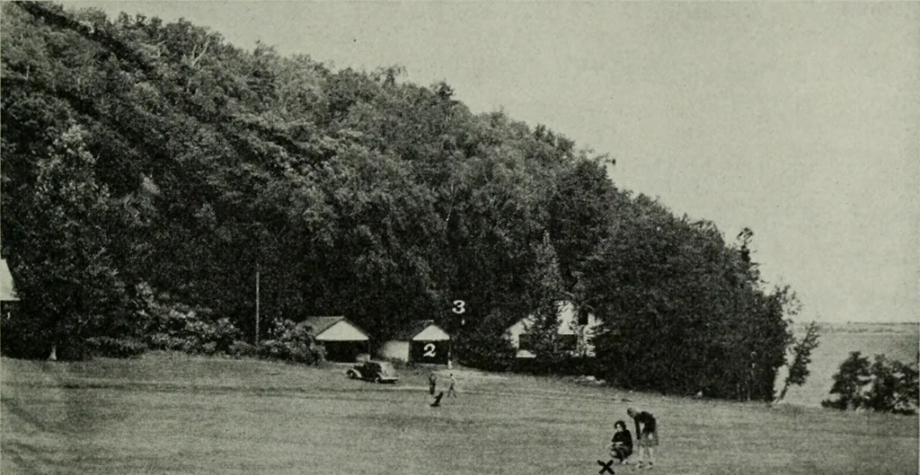 An illustration from The Locomotive, 1867, leaf 294
