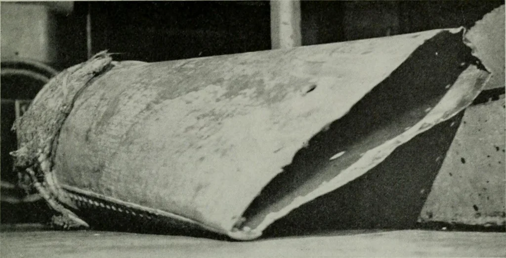 An illustration from The Locomotive, 1867, leaf 394