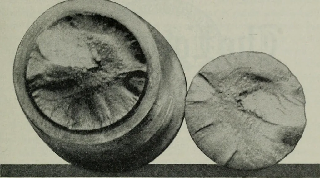 An illustration from The Locomotive, 1867, leaf 62