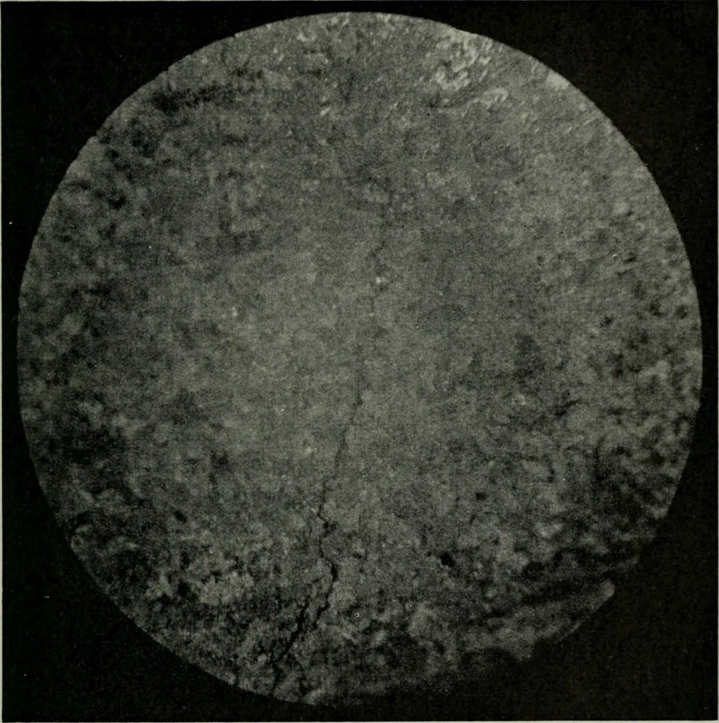 An illustration from The Locomotive, 1867, leaf 78