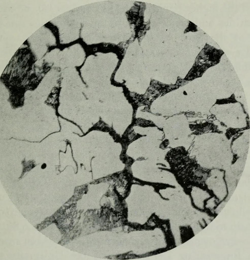 An illustration from The Locomotive, 1867, leaf 84