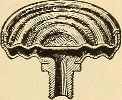 An illustration from Locomotive appliances, 1901, leaf 112