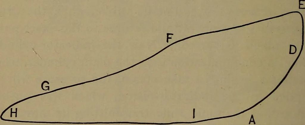 An illustration from Locomotive engine running and management .., 1899, leaf 409