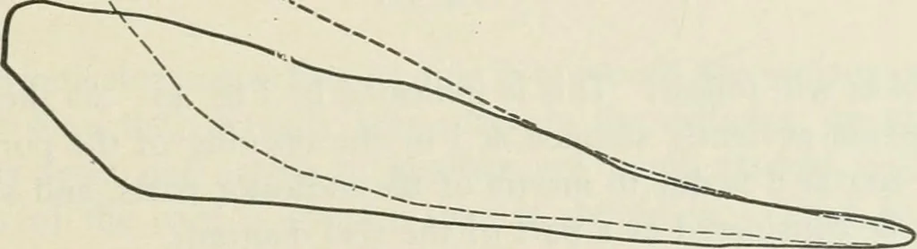 An illustration from Locomotive operation; a technical and practical analysis, 1904, leaf 136