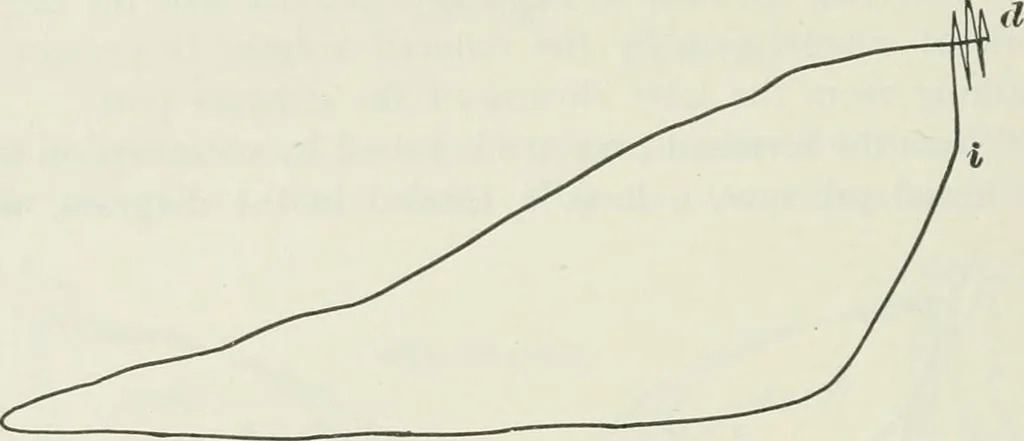 An illustration from Locomotive operation; a technical and practical analysis, 1904, leaf 137
