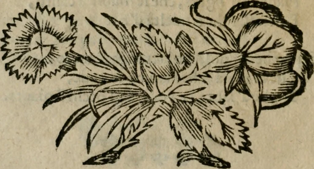 An illustration from Lodi al Signor Guido Reni : raccolte dall'Imperfetto Accad. Conf, 1632, leaf 15