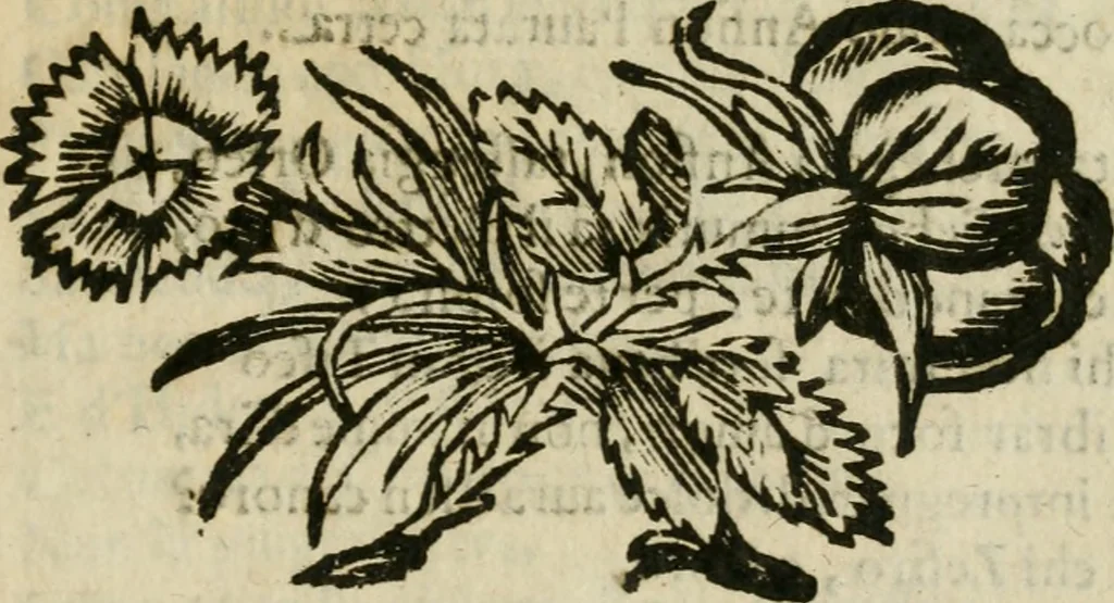 An illustration from Lodi al Signor Guido Reni : raccolte dall'Imperfetto Accad. Conf, 1632, leaf 20
