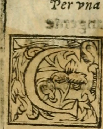 An illustration from Lodi al Signor Guido Reni : raccolte dall'Imperfetto Accad. Conf, 1632, leaf 42