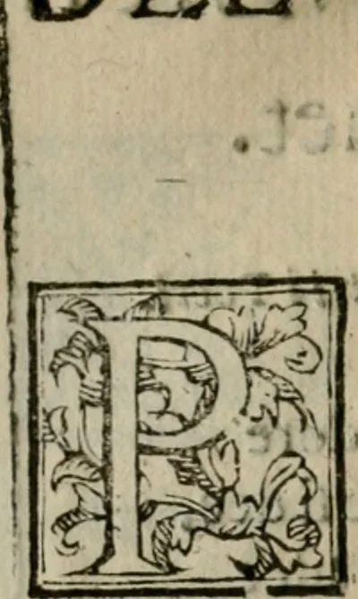An illustration from Lodi al Signor Guido Reni : raccolte dall'Imperfetto Accad. Conf, 1632, leaf 61