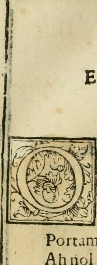 An illustration from Lodi al Signor Guido Reni : raccolte dall'Imperfetto Accad. Conf, 1632, leaf 66