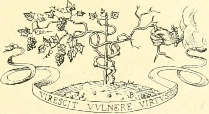 An illustration from L'oeuvre des peintres émailleurs de Limoges; Léonard Limosin, peintre de portraits, d'après les catalogues de ventes, de musées et d'expositions et les auteurs qui se sont occupés de ces émaux, 1897, leaf 228
