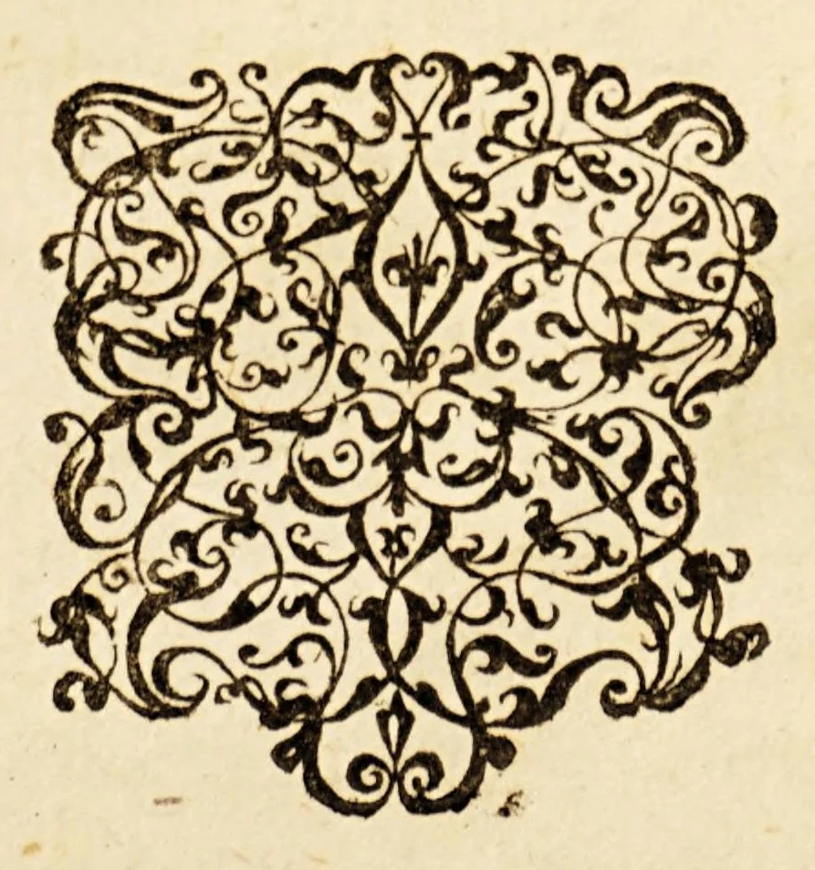 An illustration from Lof-dicht, over de heerlijcke victorie, in het veroveren van de silver vlote, in de Baey van Matanca, onder het beleyt van den e. ende manhaften Heer Generael Pieter Pieterz Heyn, als oock het veroveren der twee galioenen, comende uyt de Honduras, 1629, leaf 17