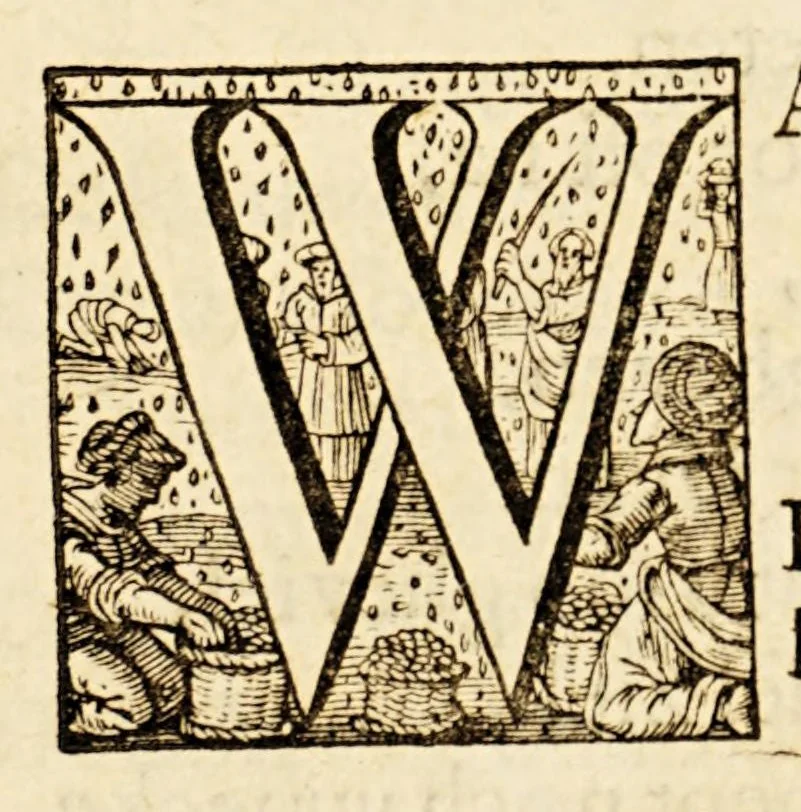 An illustration from Lof-dicht, over de heerlijcke victorie, in het veroveren van de silver vlote, in de Baey van Matanca, onder het beleyt van den e. ende manhaften Heer Generael Pieter Pieterz Heyn, als oock het veroveren der twee galioenen, comende uyt de Honduras, 1629, leaf 9