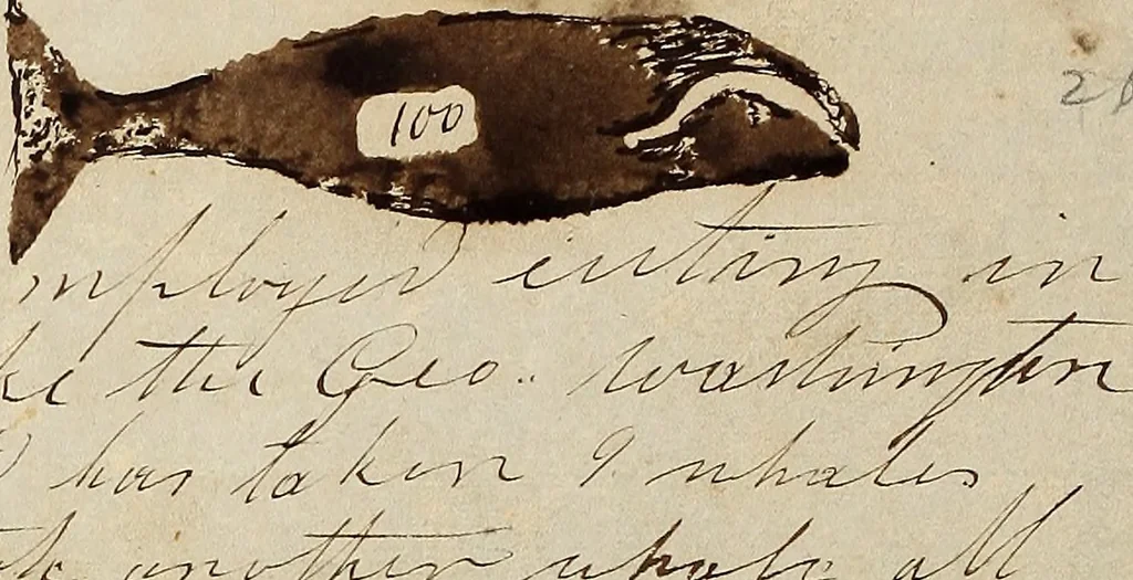 An illustration from [Logbook of the Nassau (Ship : 1824-1865) of New Bedford, Mass., mastered by J.W. White, kept by H.C. Murdock on voyage 5 Aug. 1850-22 May 1853], 1850, leaf 111