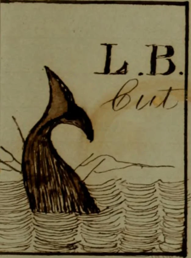 An illustration from [Logbook of the Saratoga (Ship) of New Bedford, Mass.; mastered by Frederick Slocum, kept by Washington Fosdick, on voyage from 3 Nov. 1856-1 June 1860], 1857, leaf 20