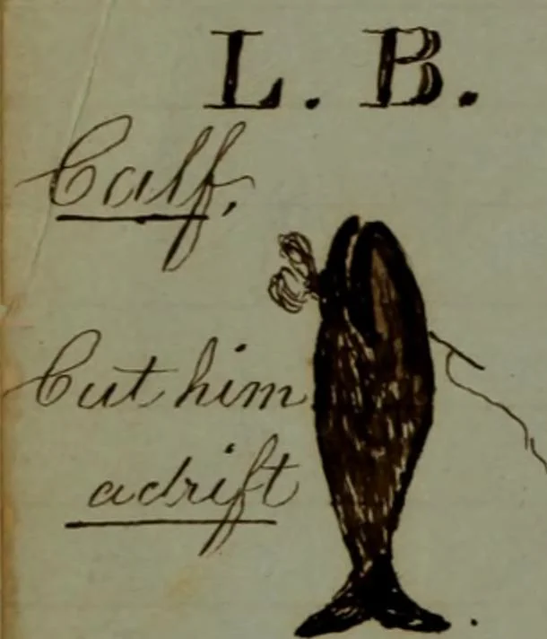 An illustration from [Logbook of the Saratoga (Ship) of New Bedford, Mass.; mastered by Frederick Slocum, kept by Washington Fosdick, on voyage from 3 Nov. 1856-1 June 1860], 1857, leaf 23