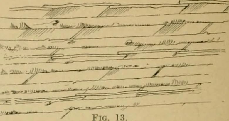 An illustration from Log cabins and cottages; how to build and furnish them, 1908, leaf 23