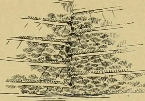 An illustration from Log cabins and cottages; how to build and furnish them, 1908, leaf 36