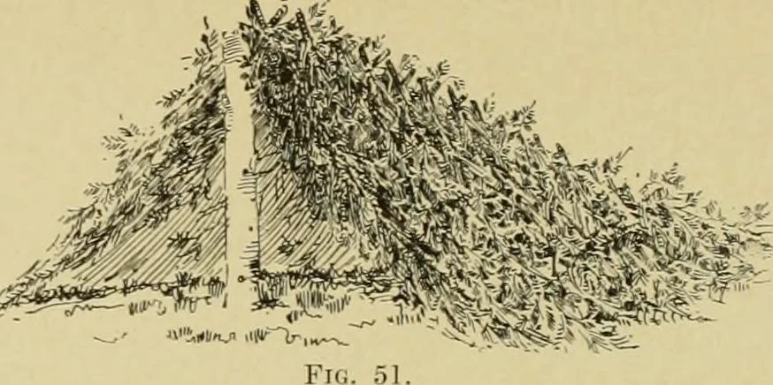 An illustration from Log cabins and cottages; how to build and furnish them, 1908, leaf 44