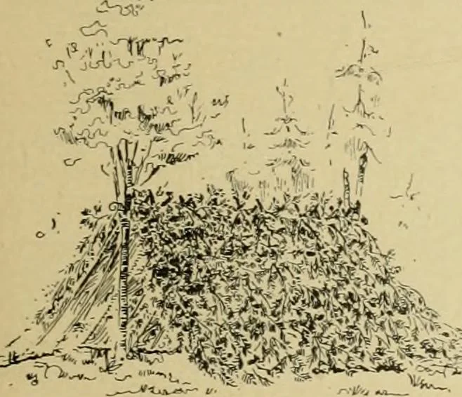 An illustration from Log cabins and cottages; how to build and furnish them, 1908, leaf 44