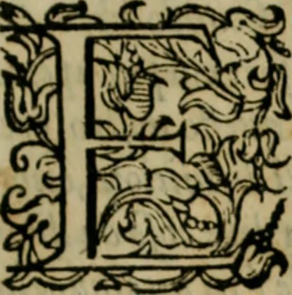 An illustration from Lo inganno de gl'occhi, prospettiva pratica, 1625, leaf 110