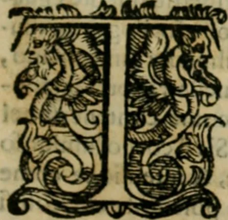 An illustration from Lo inganno de gl'occhi, prospettiva pratica, 1625, leaf 112