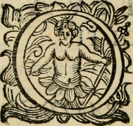 An illustration from Lo inganno de gl'occhi, prospettiva pratica, 1625, leaf 113