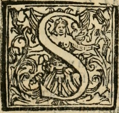 An illustration from Lo inganno de gl'occhi, prospettiva pratica, 1625, leaf 113